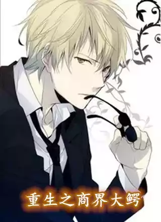 重生之商界大鳄小说
