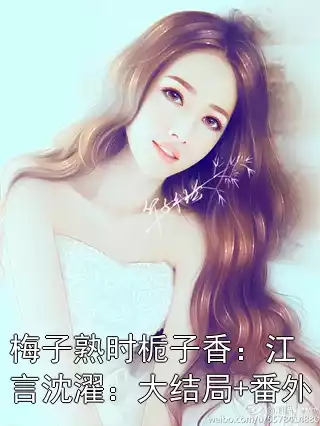 梅子熟时栀子香：江言沈濯：大结局+番外
