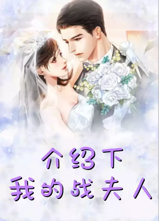 介绍下我的战夫人小说