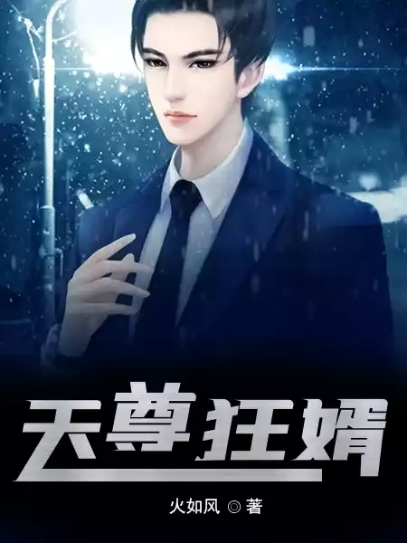 天尊狂婿小说
