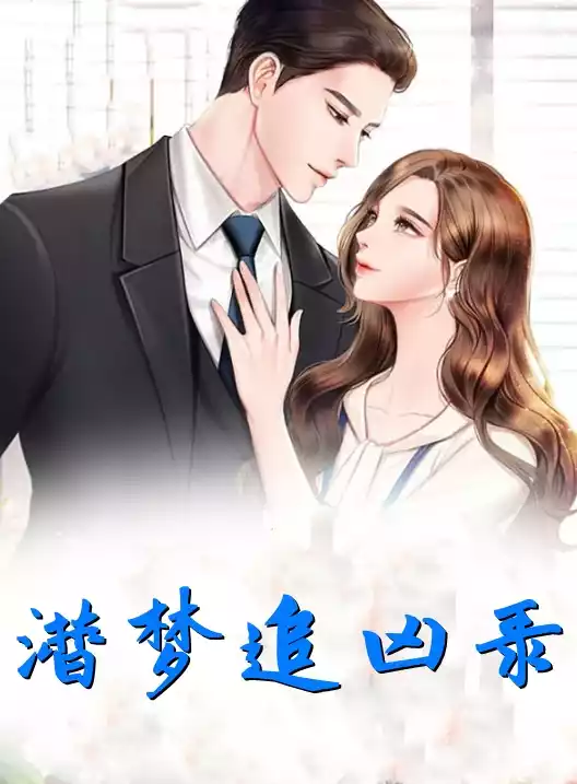 潜梦追凶录小说