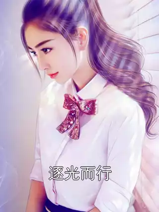 逐光而行小说