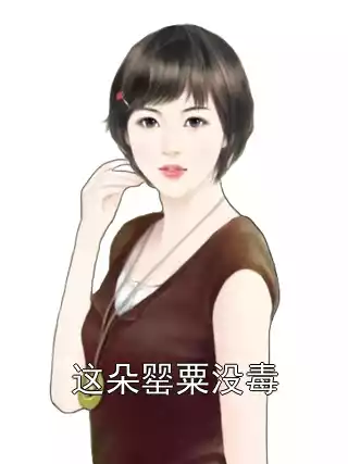 这朵罂粟没毒小说