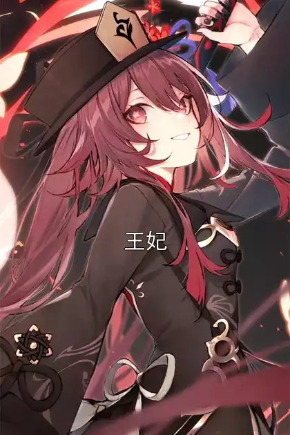 王妃小说
