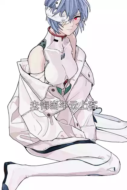 未悔当年云上客小说