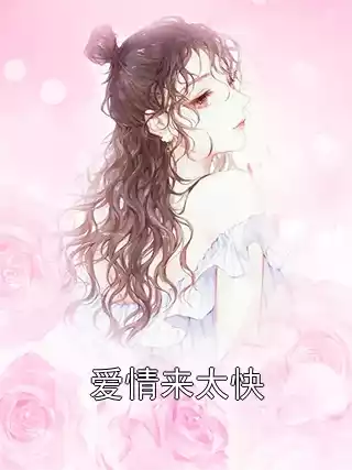 爱情来太快小说