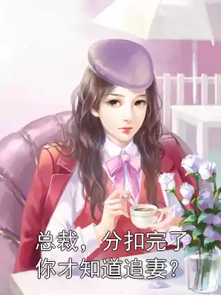 总裁，分扣完了你才知道追妻？小说