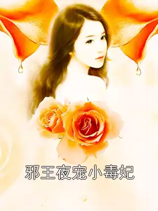邪王夜宠小毒妃
