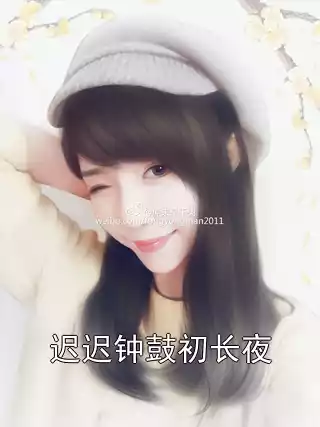 迟迟钟鼓初长夜小说