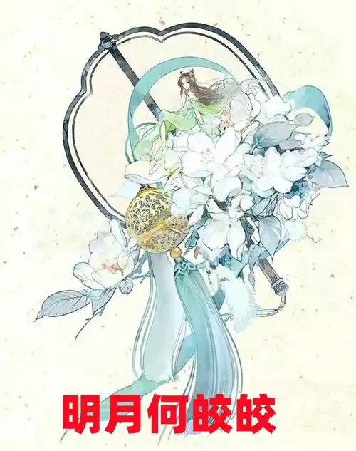 明月何皎皎