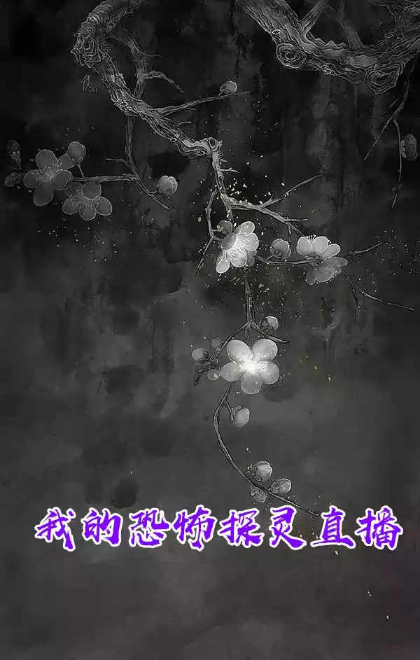 我的恐怖探灵直播