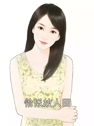恰似故人回小说