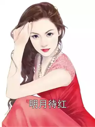 明月待红小说