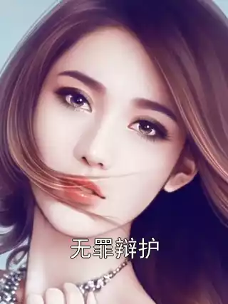 无罪辩护小说