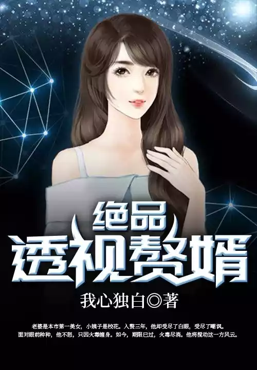 绝品透视赘婿小说