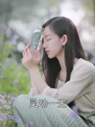 灵动一生小说