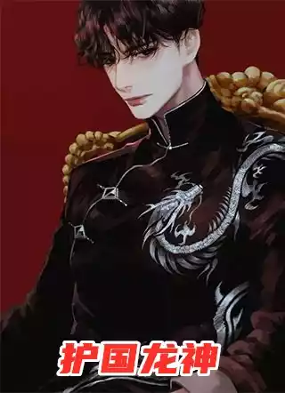 护国龙神小说