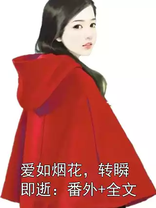 爱如烟花，转瞬即逝：番外+全文