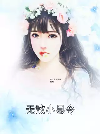 无敌小县令