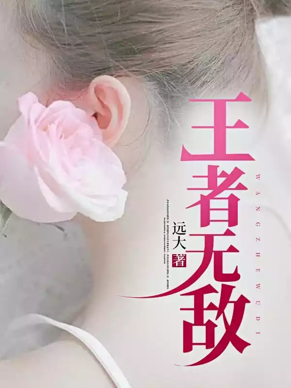 王者无敌小说