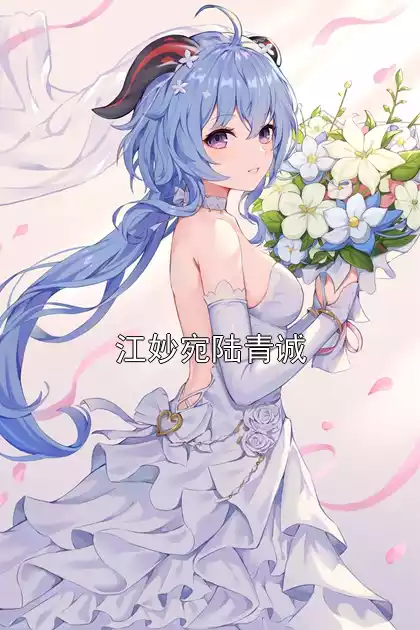 江妙宛陆青诚小说