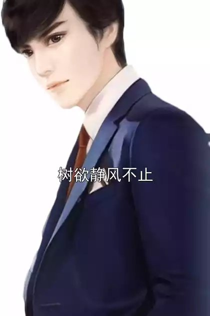 树欲静风不止小说