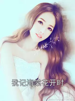 犹记海棠花开时小说