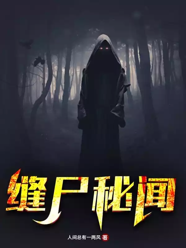 缝尸秘闻小说