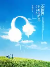 全世界只有你听见小说
