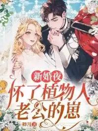 新婚夜，怀了植物人老公的崽小说
