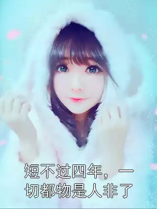 短不过四年，一切都物是人非了小说