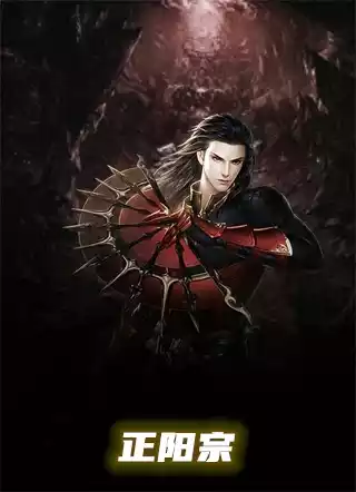 正阳宗小说