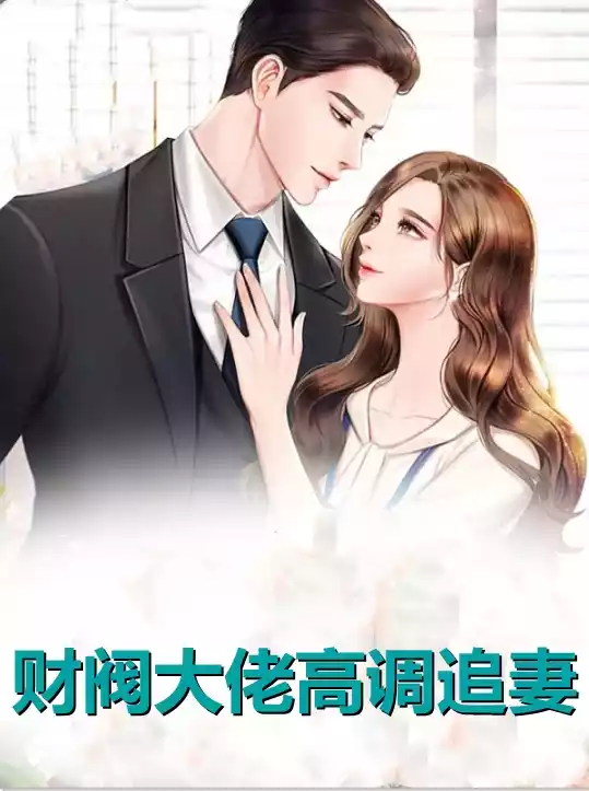 财阀大佬高调追妻小说