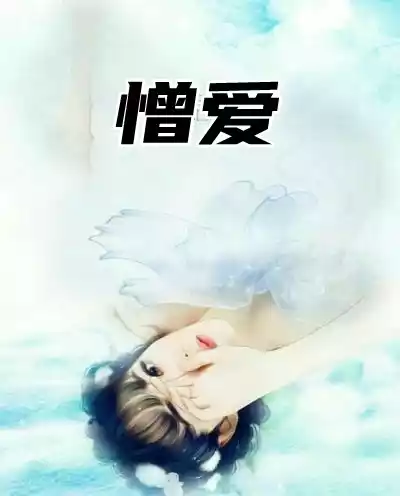 憎爱小说