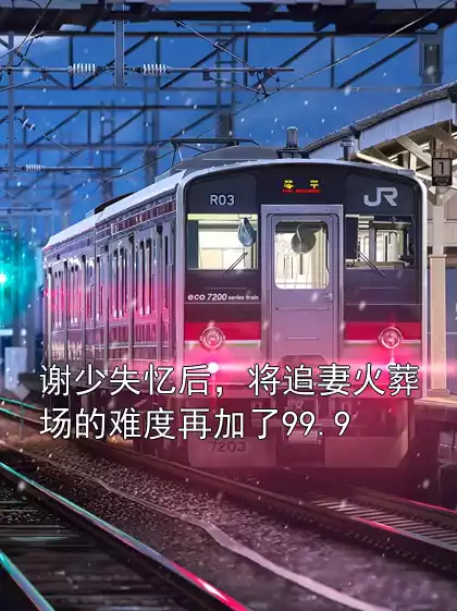 谢少失忆后，将追妻火葬场的难度再加了99.9