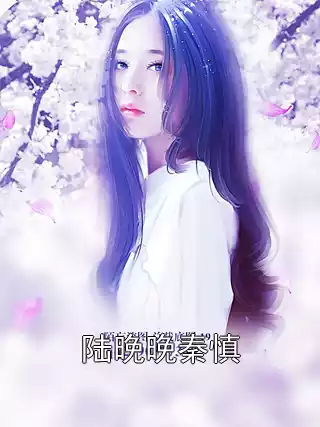 陆晚晚秦慎小说