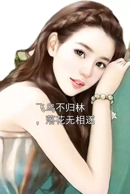 飞鸟不归林，落花无相逐小说