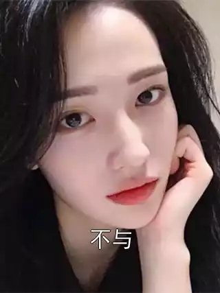 不与小说