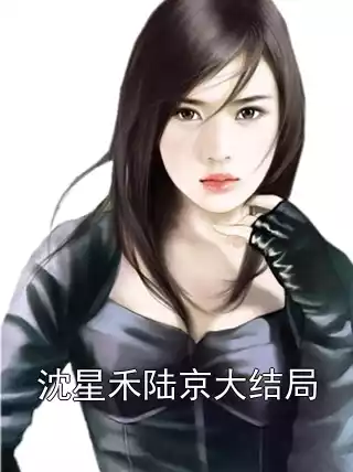 沈星禾陆京大结局小说