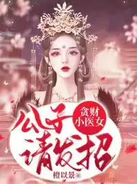 贪财小医女：公子，请出招小说