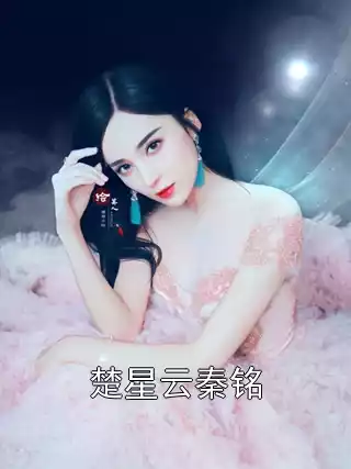 楚星云秦铭小说