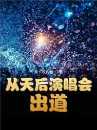 从天后演唱会出道小说