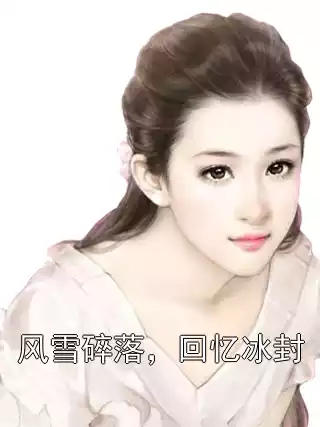风雪碎落，回忆冰封小说