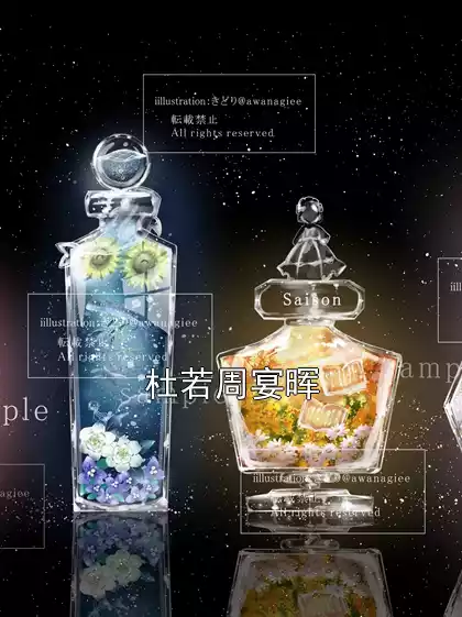 杜若周宴晖小说