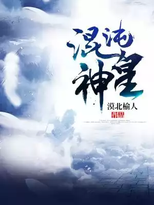 混沌神皇小说