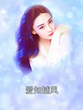 爱如捕风小说