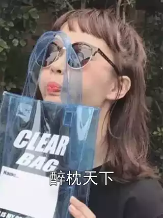 醉枕天下