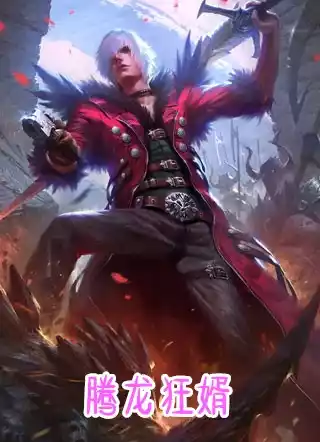 腾龙狂婿