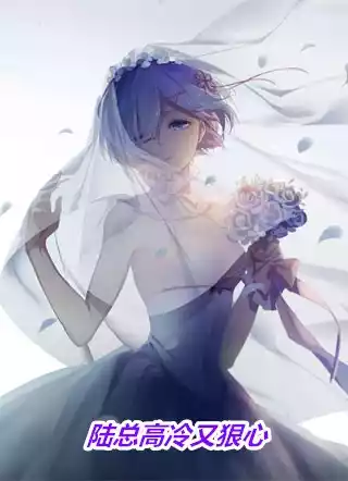 陆总高冷又狠心小说