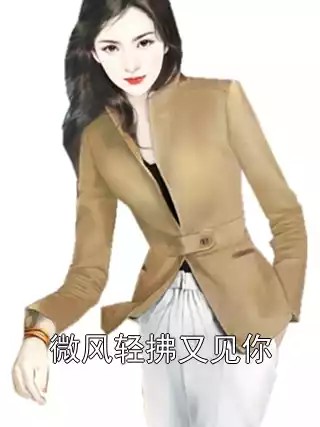 微风轻拂又见你小说